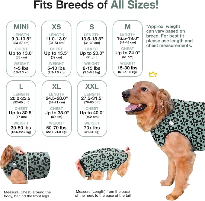 BellyGuard Dog Surgery Recovery Suit, Dog Onesie - Image 3
