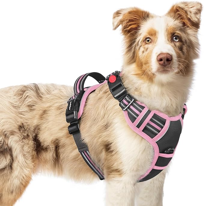 rabbitgoo Dog Harness Medium Sized, No Pull Pet Harness by rabbitgoo