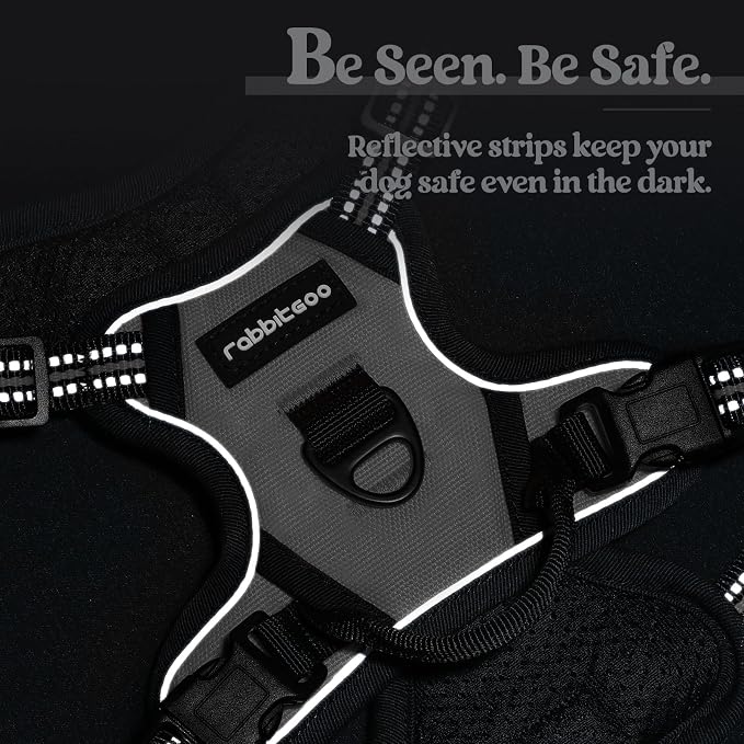 rabbitgoo Dog Harness No Pull - Image 7