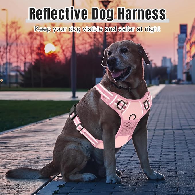 Rnivvi No Pull Dog Harness, Cute Reflective Large Sized Puppy Harness, - Image 6