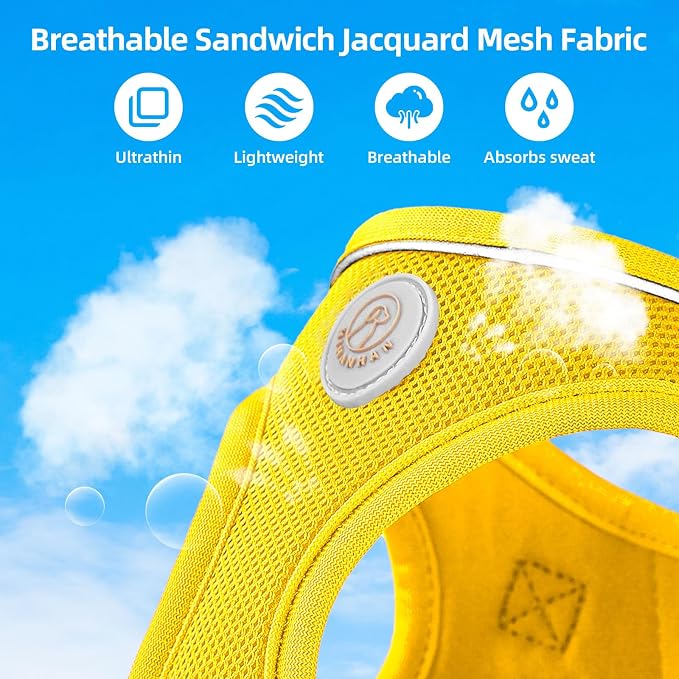 Soft Mesh Dog Harness and Leash Set, No Pull Puppy Harness and Leash Set - Image 5