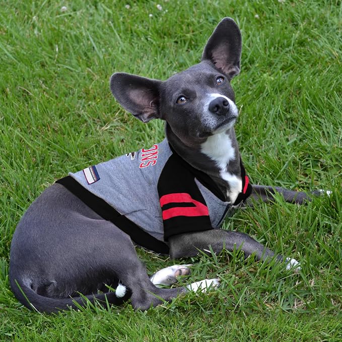 Pets First NFL Atlanta Falcons Hoodie - Image 4