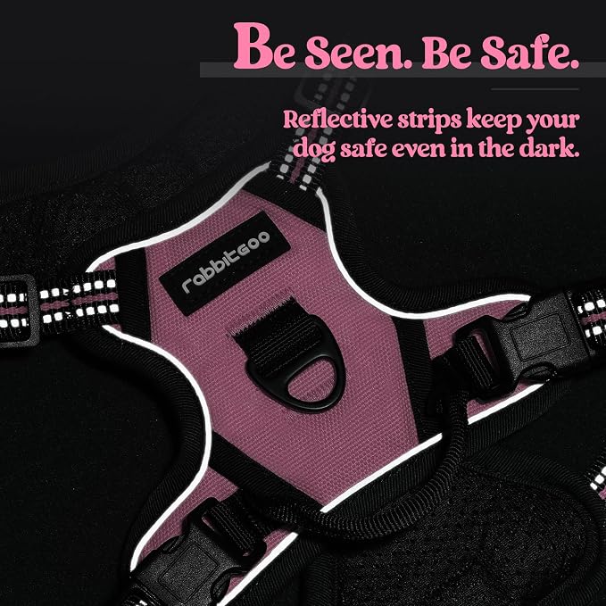 rabbitgoo Dog Harness No Pull - Image 7