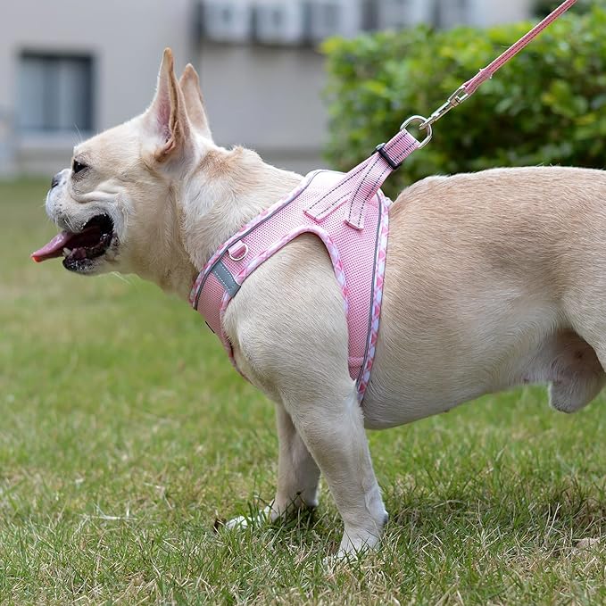 Mercano Soft Mesh Dog Harness and Leash Set, No-Chock Step-in Reflective - Image 5