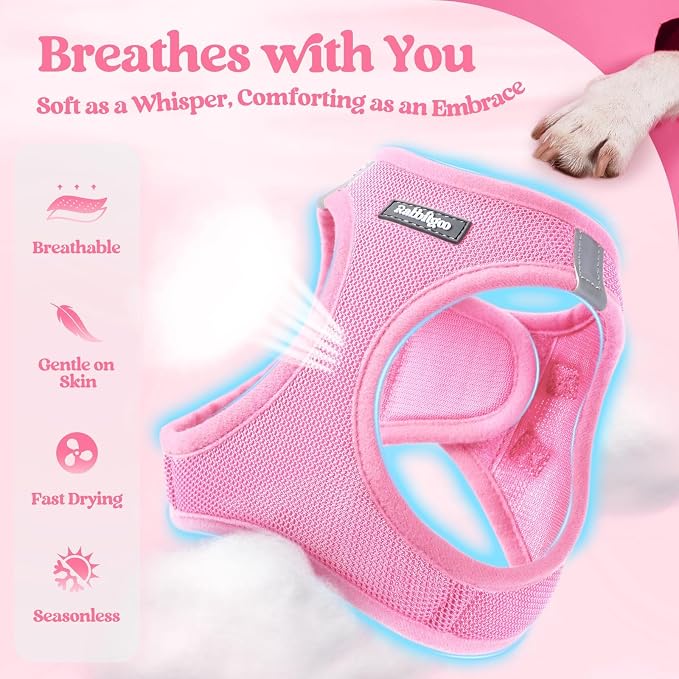 rabbitgoo Dog Harness Small Medium Sized and Leash Set, Step in Soft Light - Image 3