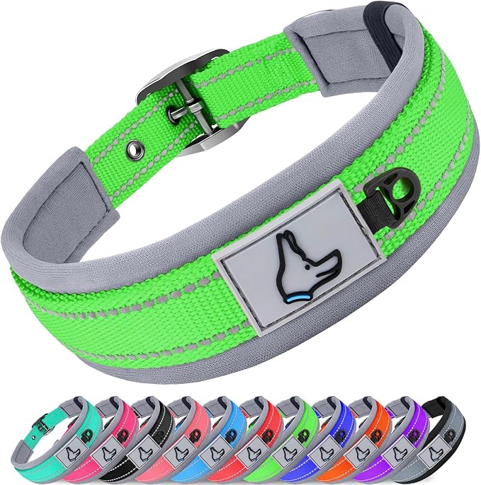 Joytale Dog Collar for Extra Large Dogs, Neoprene Padded and Adjustable by Joytale