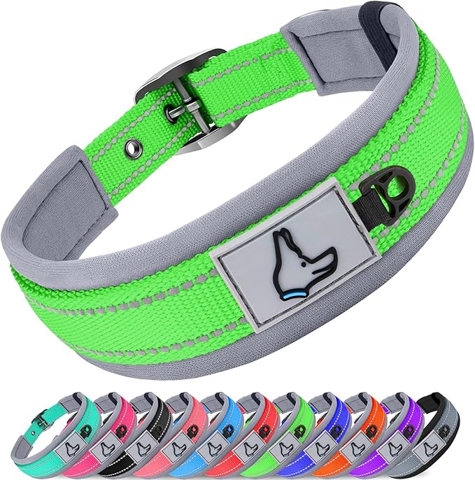 Joytale Dog Collar for Medium Dogs, Neoprene Padded and Adjustable, Reflective by Joytale
