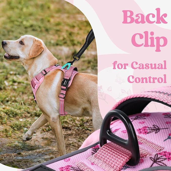 rabbitgoo Dog Harness Small Sized, No Pull Pet Harness - Image 6