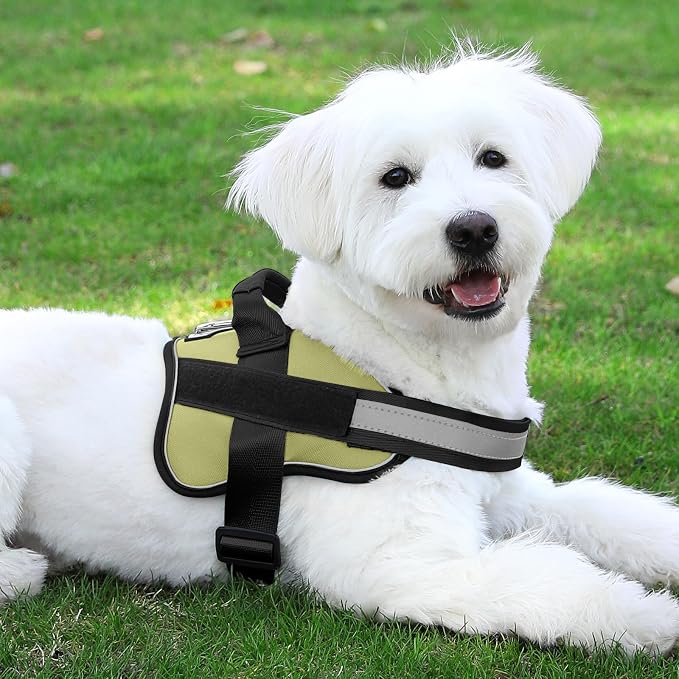 Bolux Dog Harness, No-Pull Reflective Dog Vest, Breathable Adjustable Pet - Image 8