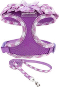 EXPAWLORER Cute Dog Harness and Leash Set by EXPAWLORER