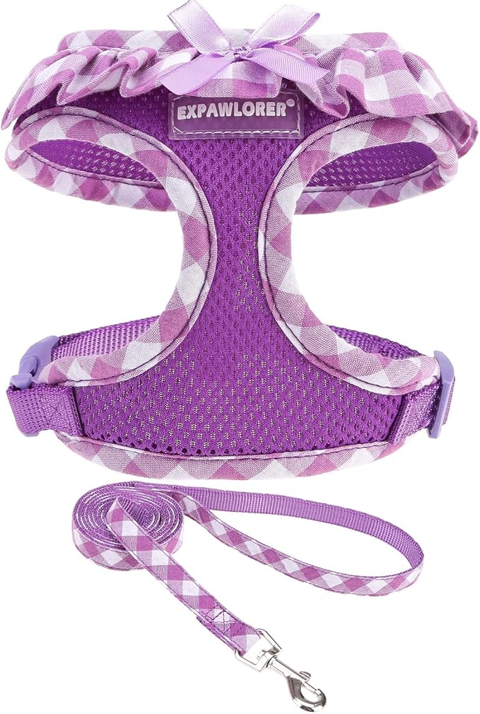EXPAWLORER Cute Dog Harness and Leash Set by EXPAWLORER