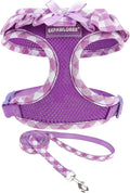 EXPAWLORER Cute Dog Harness and Leash Set by EXPAWLORER
