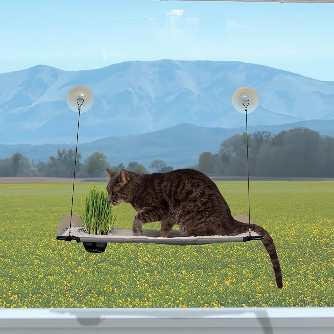 K&H Pet Products Window Lounger by KHPetProducts