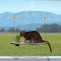 K&H Pet Products Window Lounger by KHPetProducts
