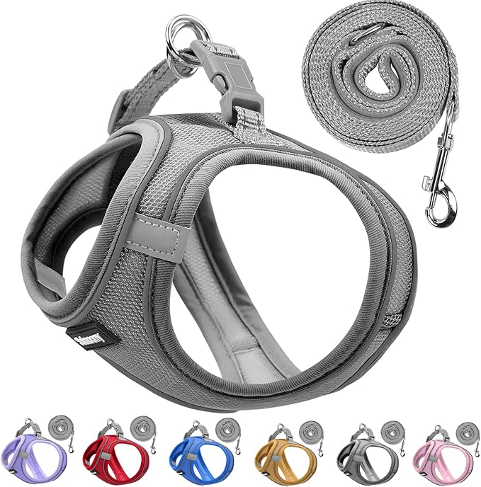 Solmoony Sparkly XXXS Dog Harness and Leash Set, Step in Soft Light Puppy Vest by SOLMOONY
