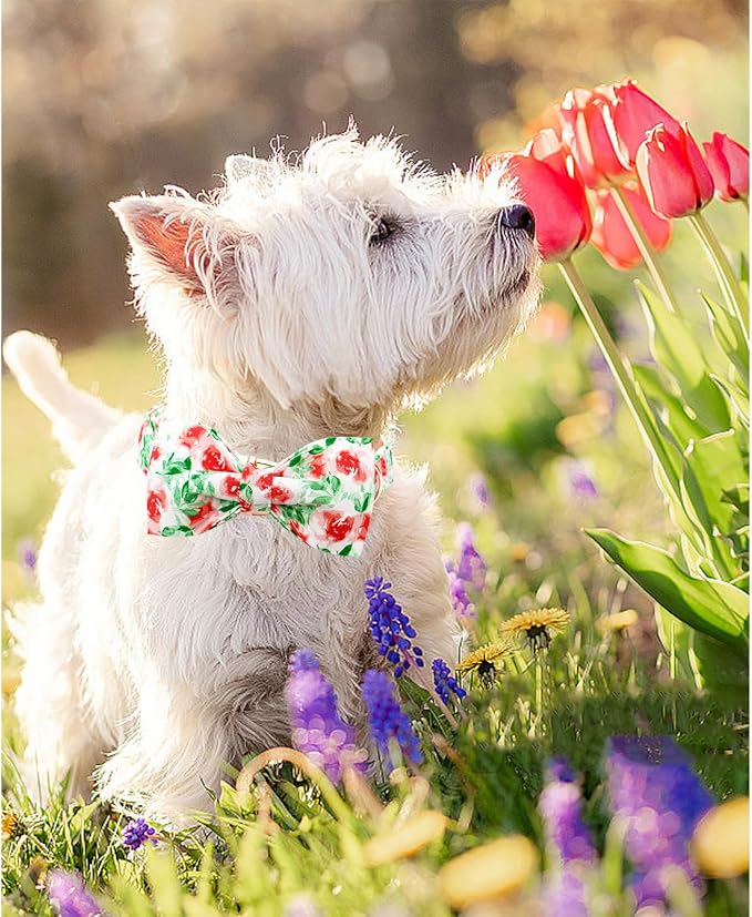 Lionheart glory Dog Collar Bow Collar Floral Dog Collar - Image 3
