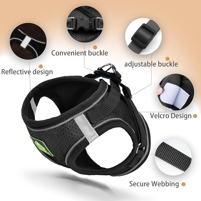Step in Dog Harness with Leash Set, Adjustable Soft Padded and Breathable Mesh - Image 3