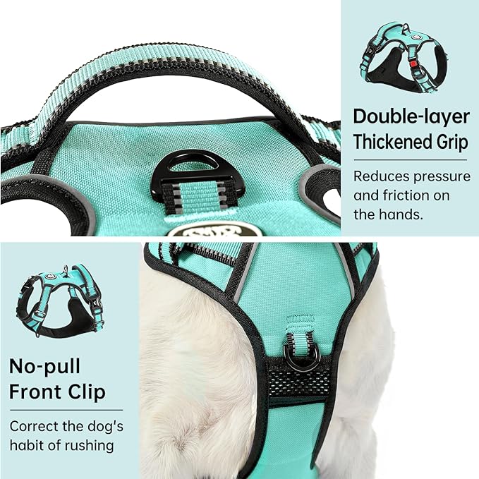 IVY&LANE No Pull Dog Harness - Image 5