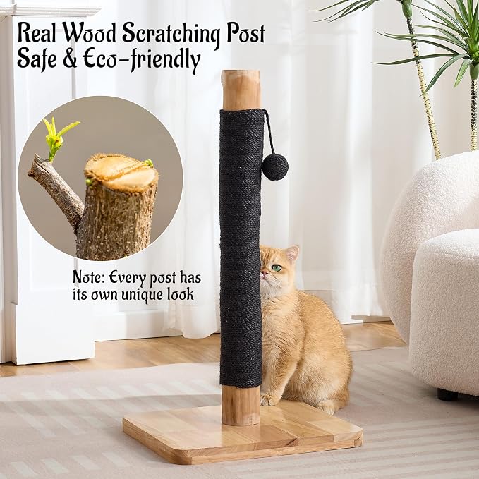 29" Tall Cat Scratching Post for Indoor Cats Adults, Extra-Stable & Natural - Image 5