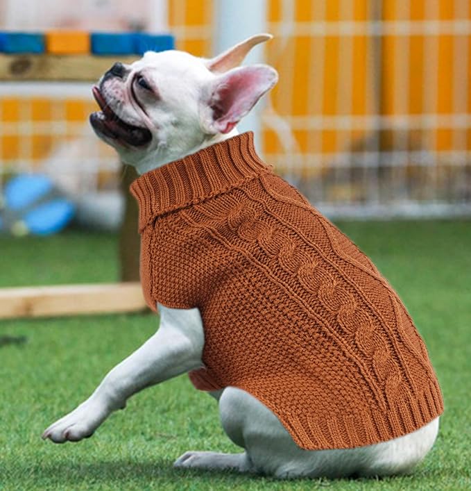 Yorkie Dog Clothes - Image 2