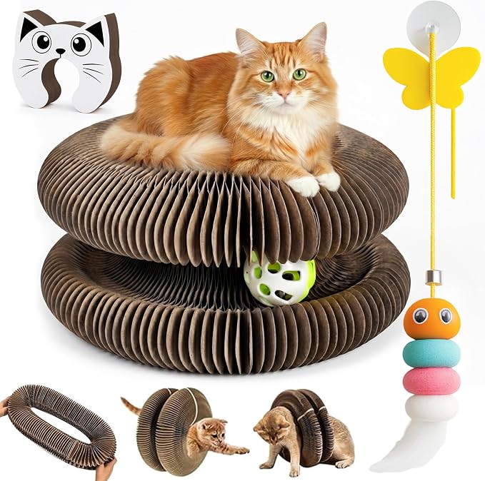 Kitty Curls Cat Toy Twisty Paws Kurlz | Magnetic Magic Organ Cat Scratcher | by LUBANA