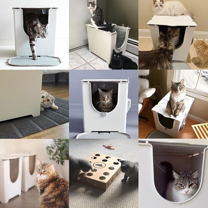 Modkat Flip Litter Box – Front-Entry Design - Image 7