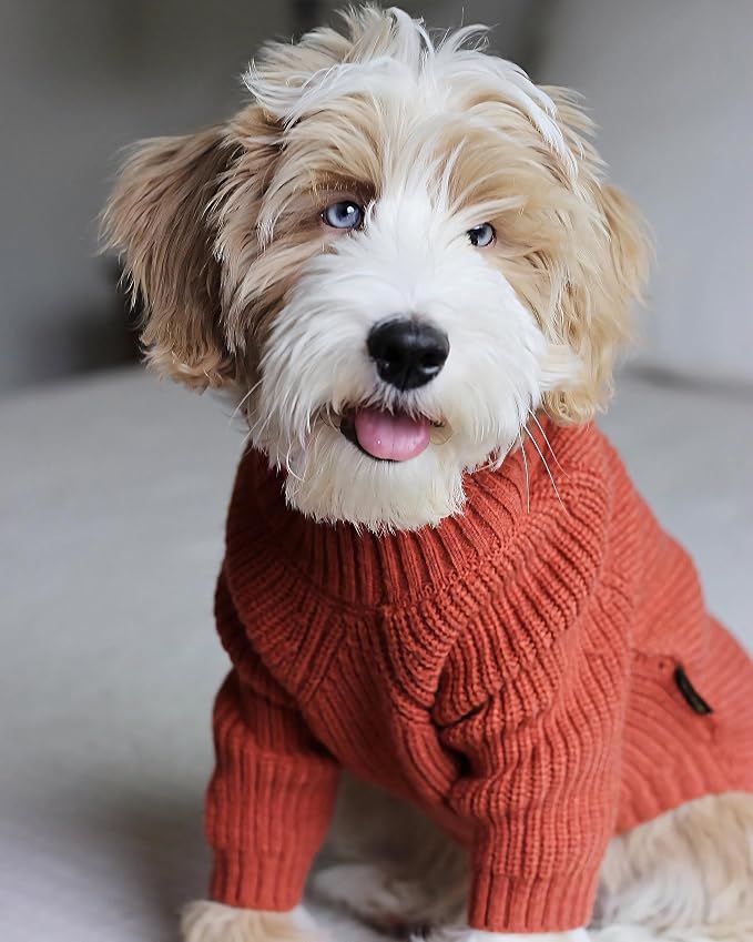 Fitwarm Thermal Knitted Dog Sweater Doggy Winter Coat Pet Clothes Doggie - Image 2