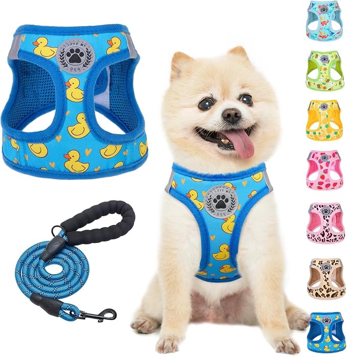 BEAUTYZOO Step in Dog Harness and Leash Set, Reflective Dog Harness No Pull No by BEAUTYZOO