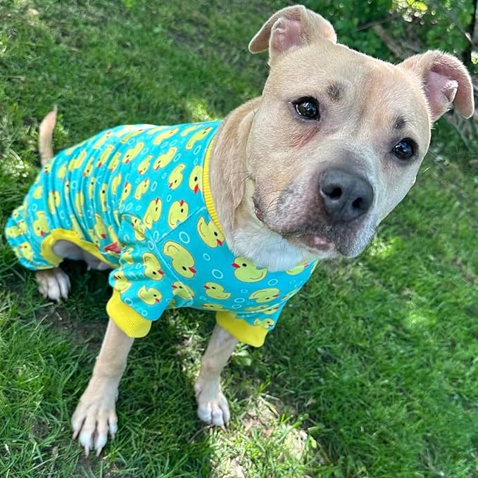 KYEESE Dog Pajamas Velvet Dog Pajamas Medium Sized Dogs Soft Dogs Clothes Pjs - Image 7