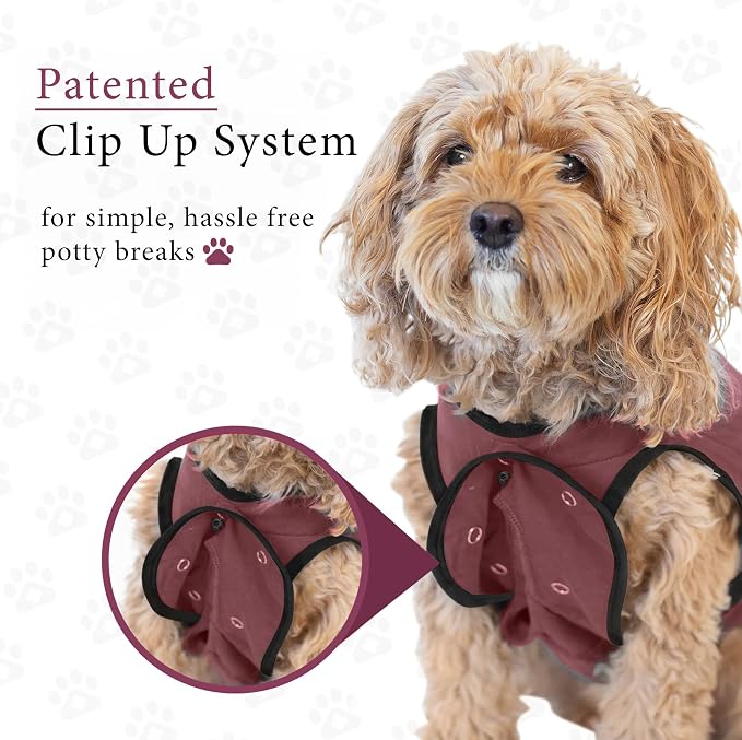 BellyGuard Dog Surgery Recovery Suit, Dog Onesie - Image 7