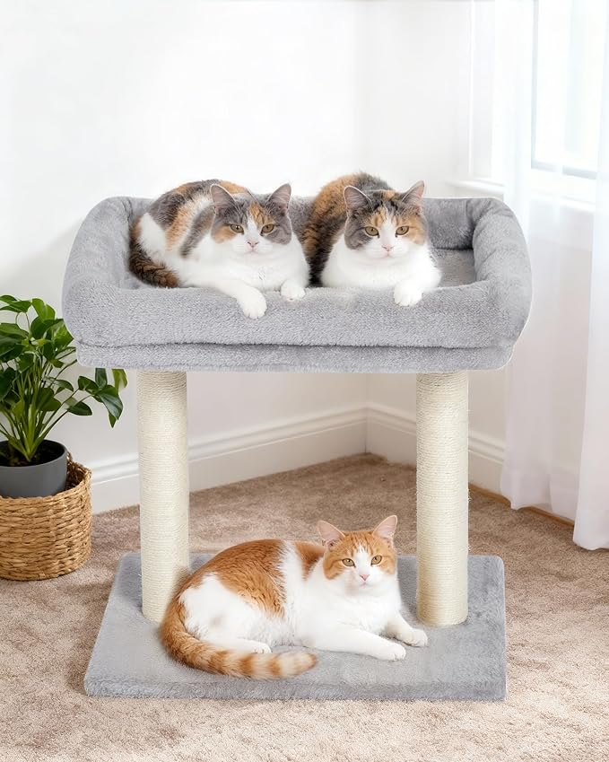 Cat Tree with Scratching Post, Small Cat Tower - Image 6
