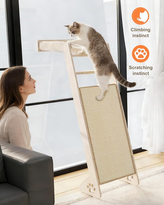 Cat Window Perch with Scratching Pad, Playing and Watching Bird - Image 4