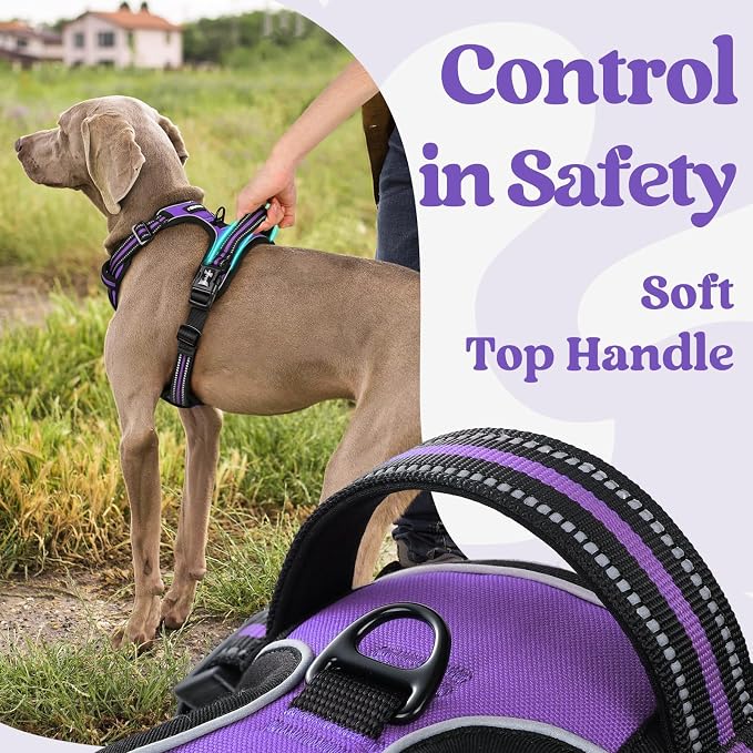 rabbitgoo Dog Harness Small Sized, No Pull Pet Harness - Image 5