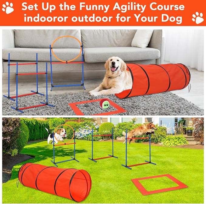 Portable Dog Agility Equipment - Image 5