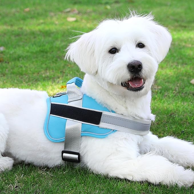 Bolux Dog Harness, No-Pull Reflective Dog Vest, Breathable Adjustable Pet - Image 8