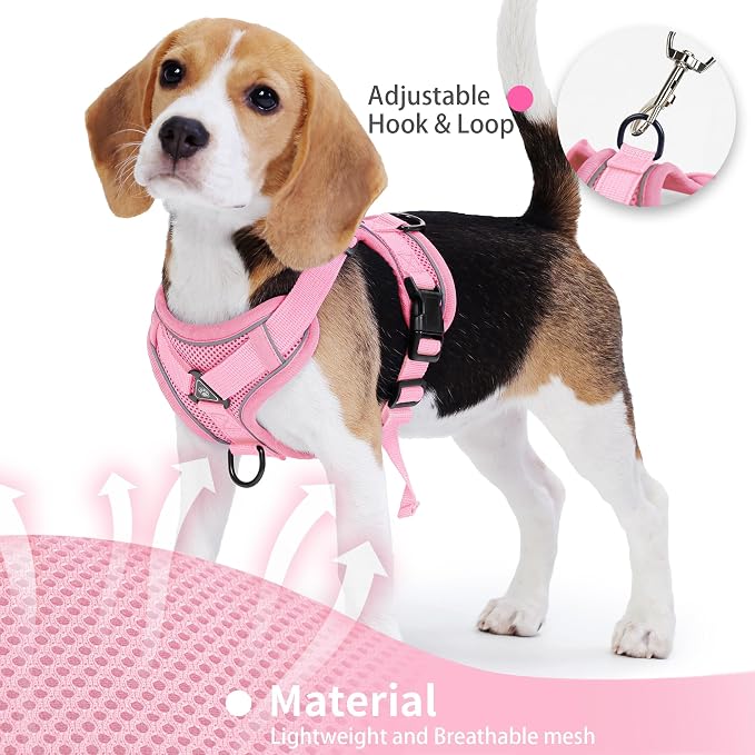 No Pull Dog Harness with Leash Set - Image 4