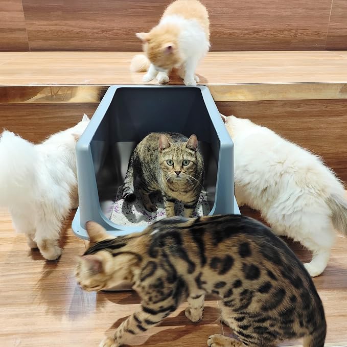 Large Stainless Steel Litter Box - Image 7