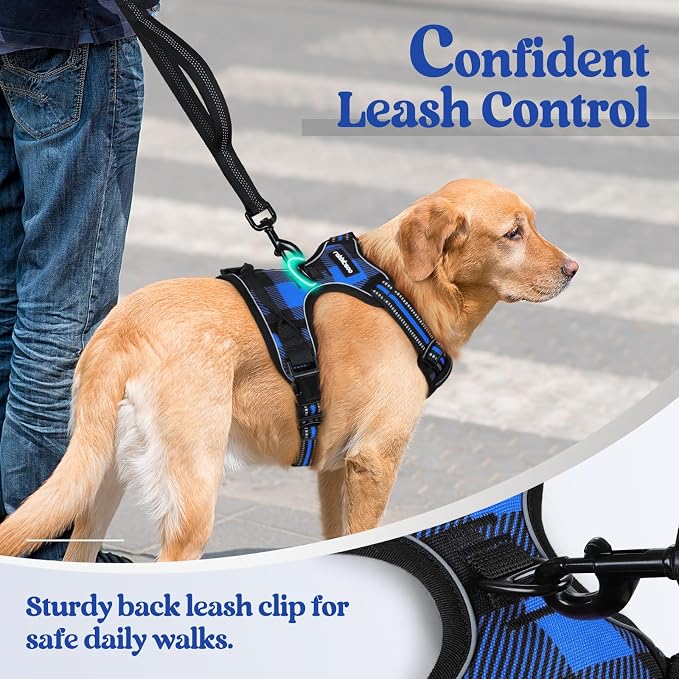 rabbitgoo Dog Harness No Pull - Image 6