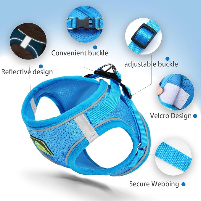 Step in Dog Harness with Leash Set, Adjustable Soft Padded and Breathable Mesh - Image 3