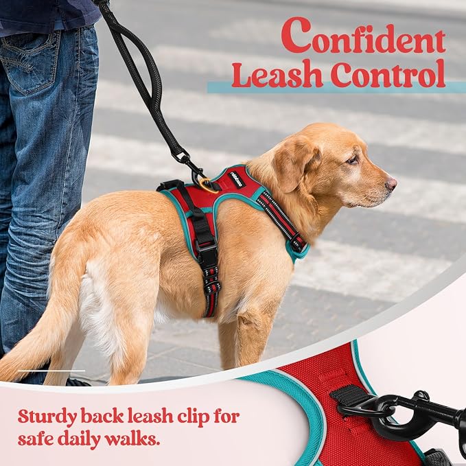 rabbitgoo Dog Harness No Pull - Image 6