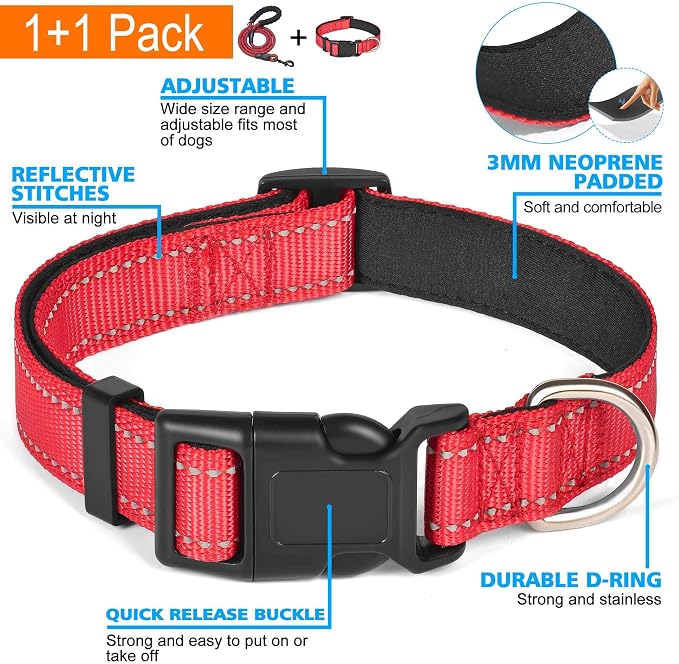 Reflective Dog Collar Padded - Image 3