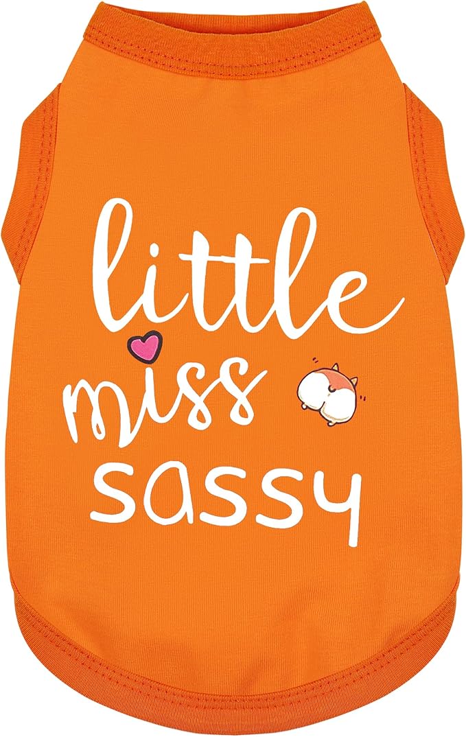 Paiaite Dog Clothes Fashionable Sleeveless Pet Vest: 'Little Miss Sassy' by Paiaite
