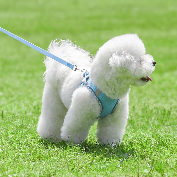 Summer Pet Supply No Pull, Step in Adjustable Dog Harness - Image 8