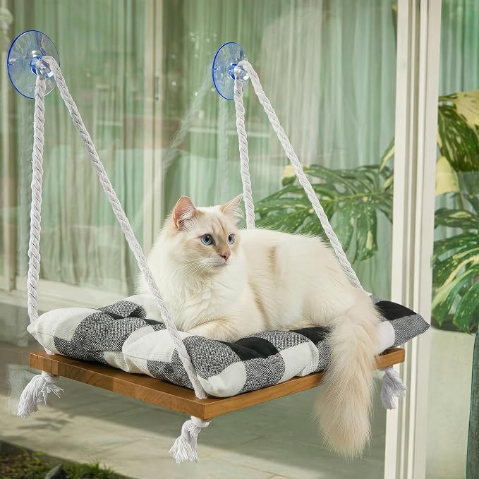 Cat Window Perch by Unknown