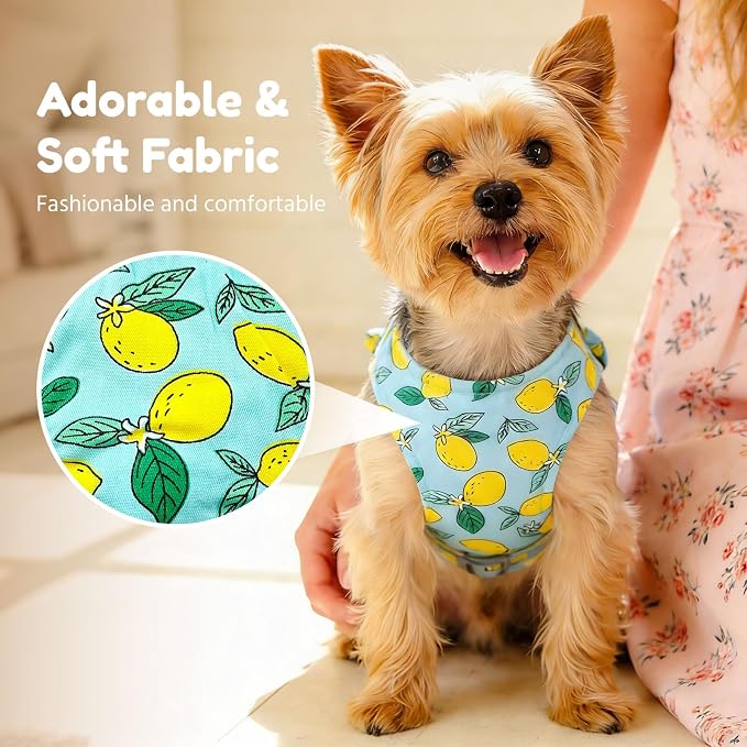 BAEJMJK Dog Harness and Leash Set - Image 3