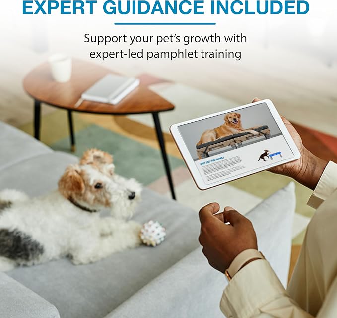 Blue-9 KLIMB Jr. Professionally Designed Dog Training Platform and DIY Guide - Image 7
