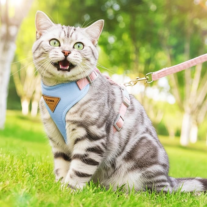 Escape-Proof Cat Harness and Leash Set - Image 7