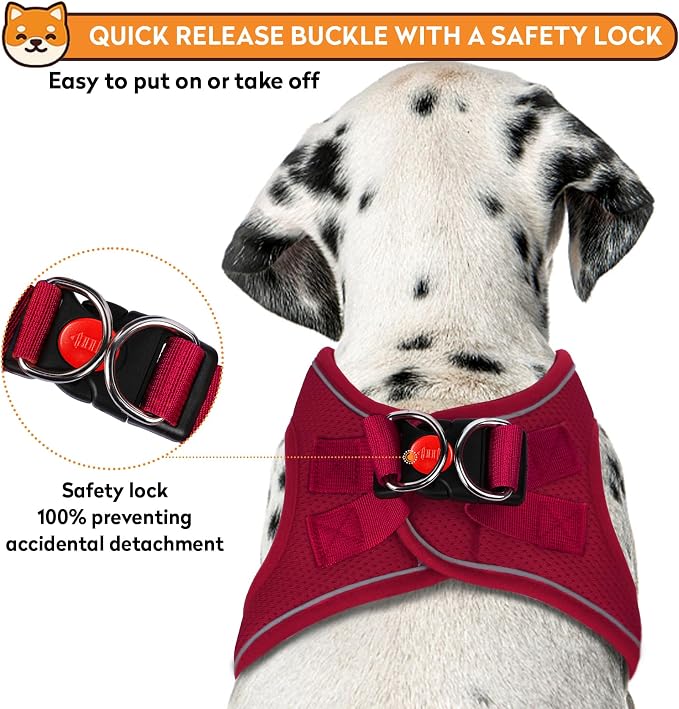 Dog Harness with Leash Set, No-Pull Step-in Reflective Pet Harness with 1 Leash - Image 3