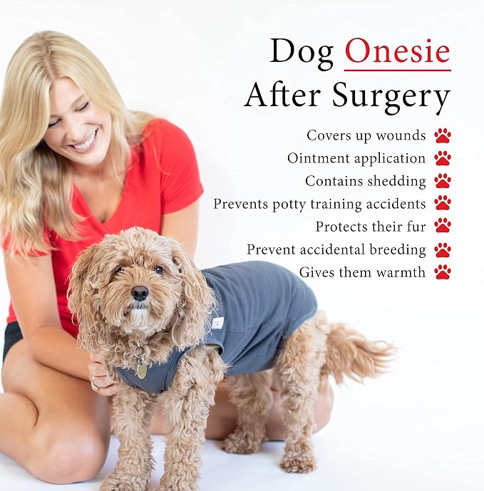 BellyGuard Dog Surgery Recovery Suit, Dog Onesie - Image 6