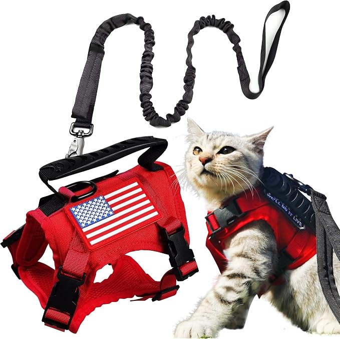 Tactical Cat Harness and Leash for Walking Escape Proof, Adjustable Military K9 by KUCDBUN